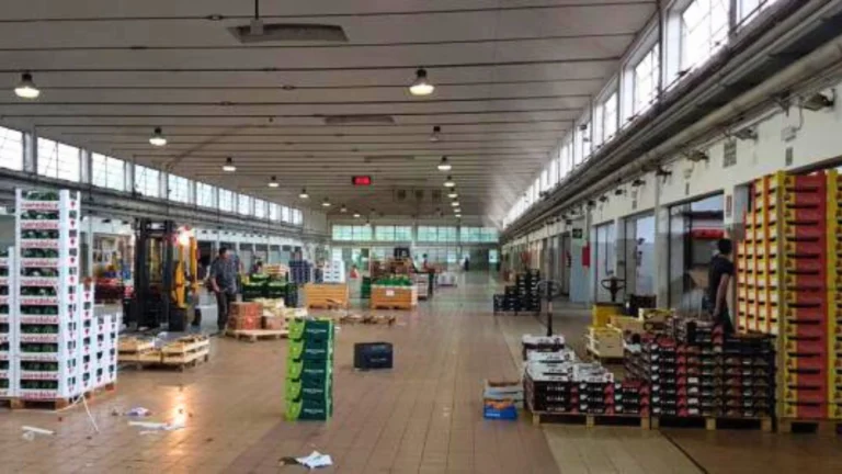 Nuovo ortofrutticolo all’ex Duke Padova accende i fari sulla partita